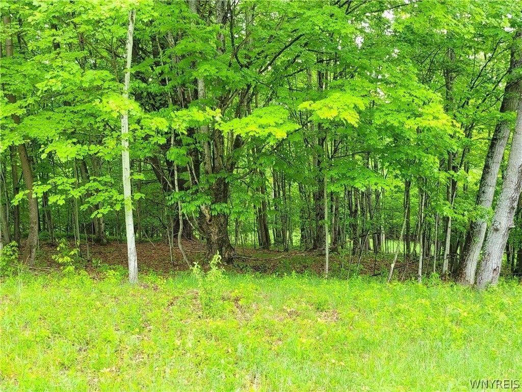 Other - 0 Cr-24- Lot 18, Grove, NY