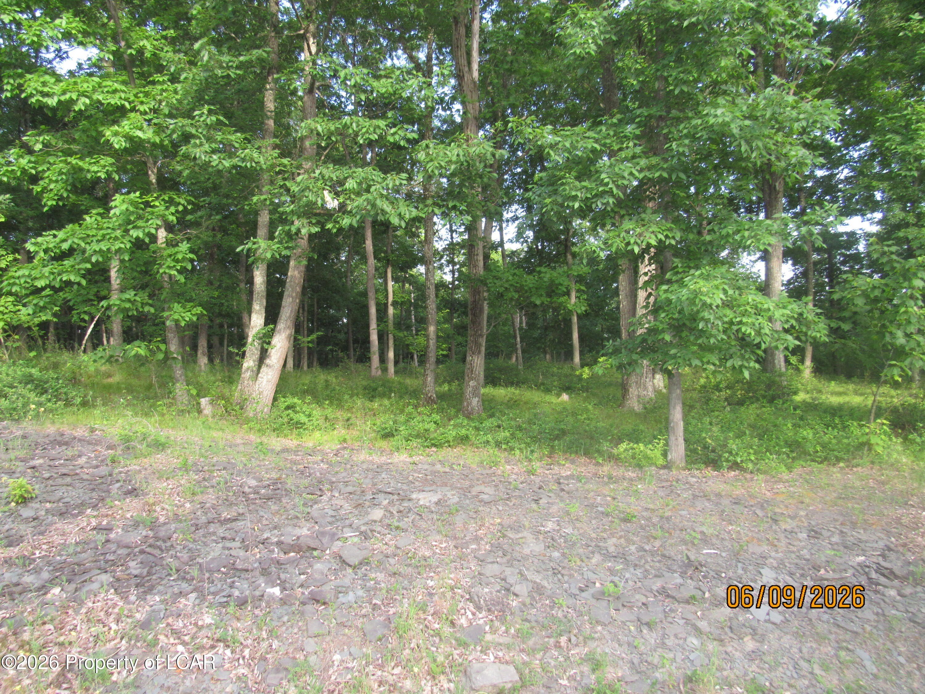 Other - 80 Scenicview Drive, Dallas, PA