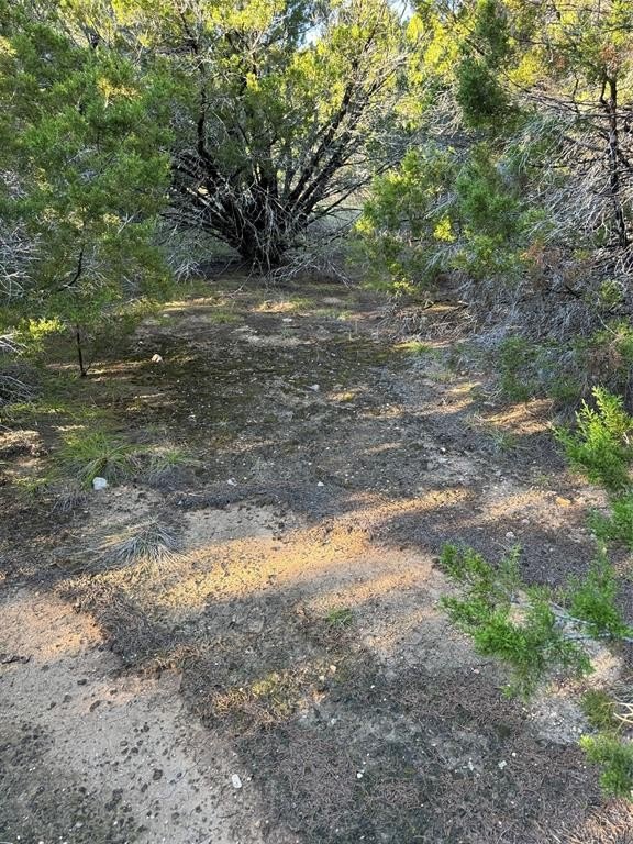 Other - 43002 Whisperwood Drive, Whitney, TX