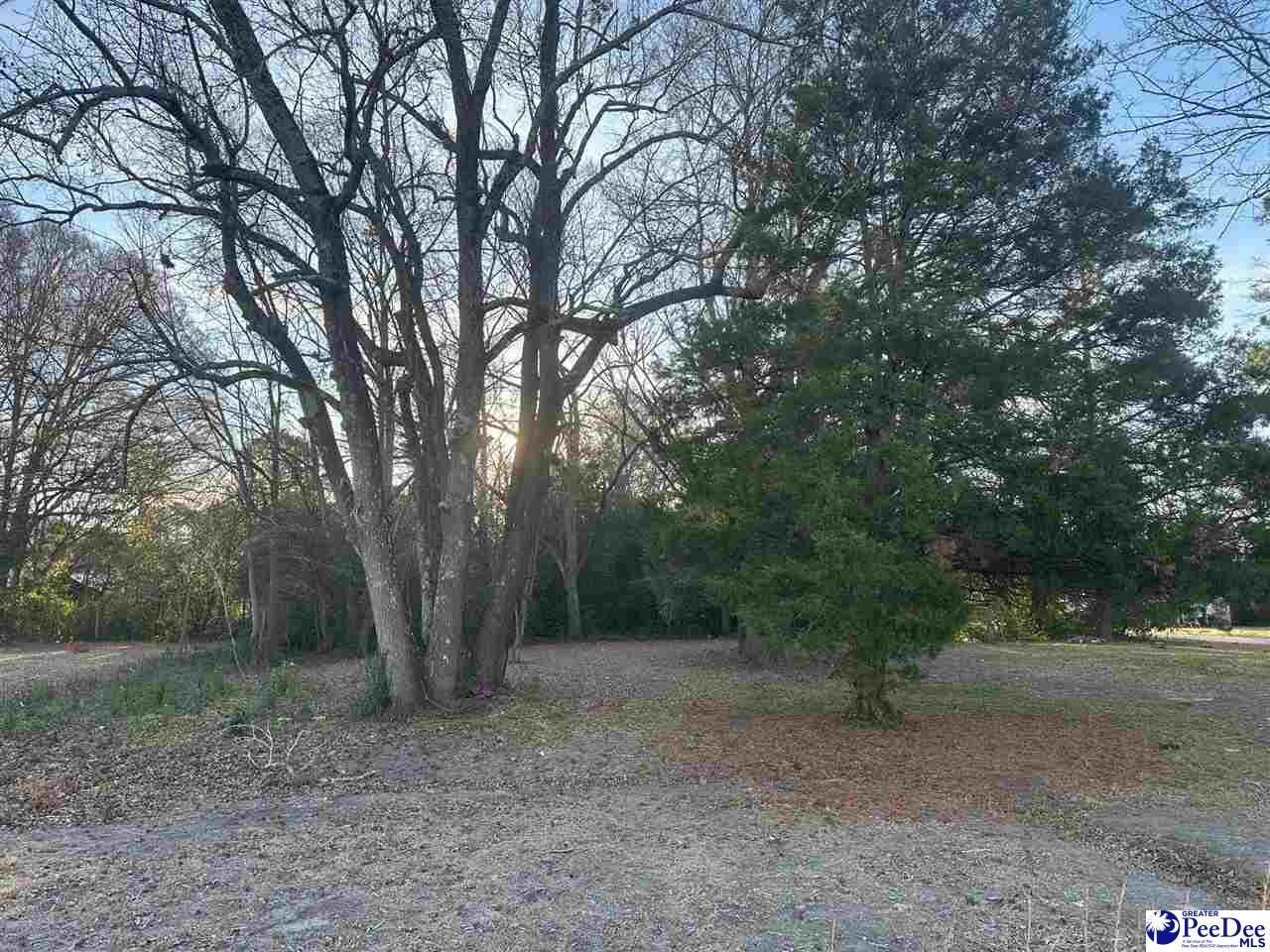 Single Family - TBD S 4th Ave, Dillon, SC