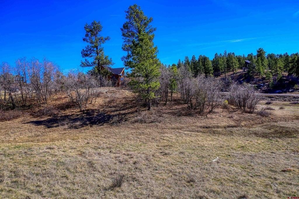Single Family - 80 Poplar Court, Pagosa Springs, CO