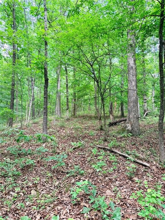 Other - 0 County Road 450, Poplar Bluff, MO
