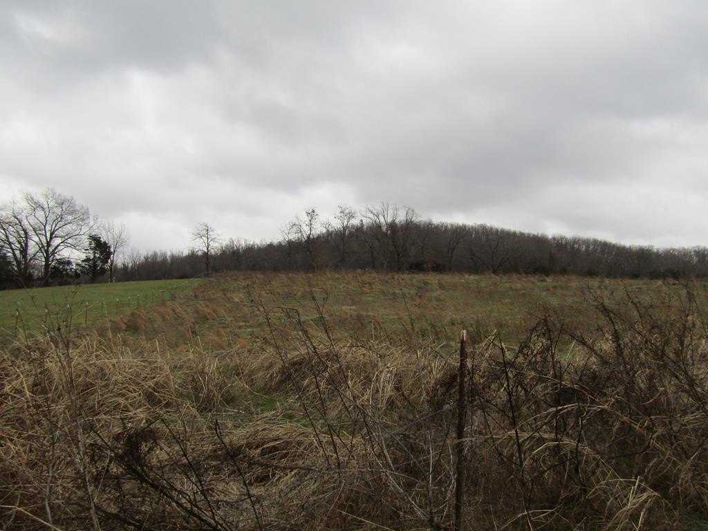 Other - 3.94ac Anderson Rd lot: 2, Byrdstown, TN