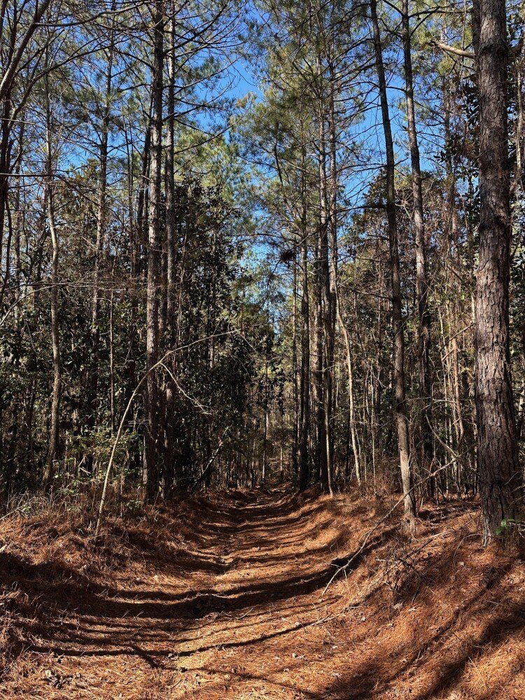 Other - 0 County Road 425, Meridian, MS