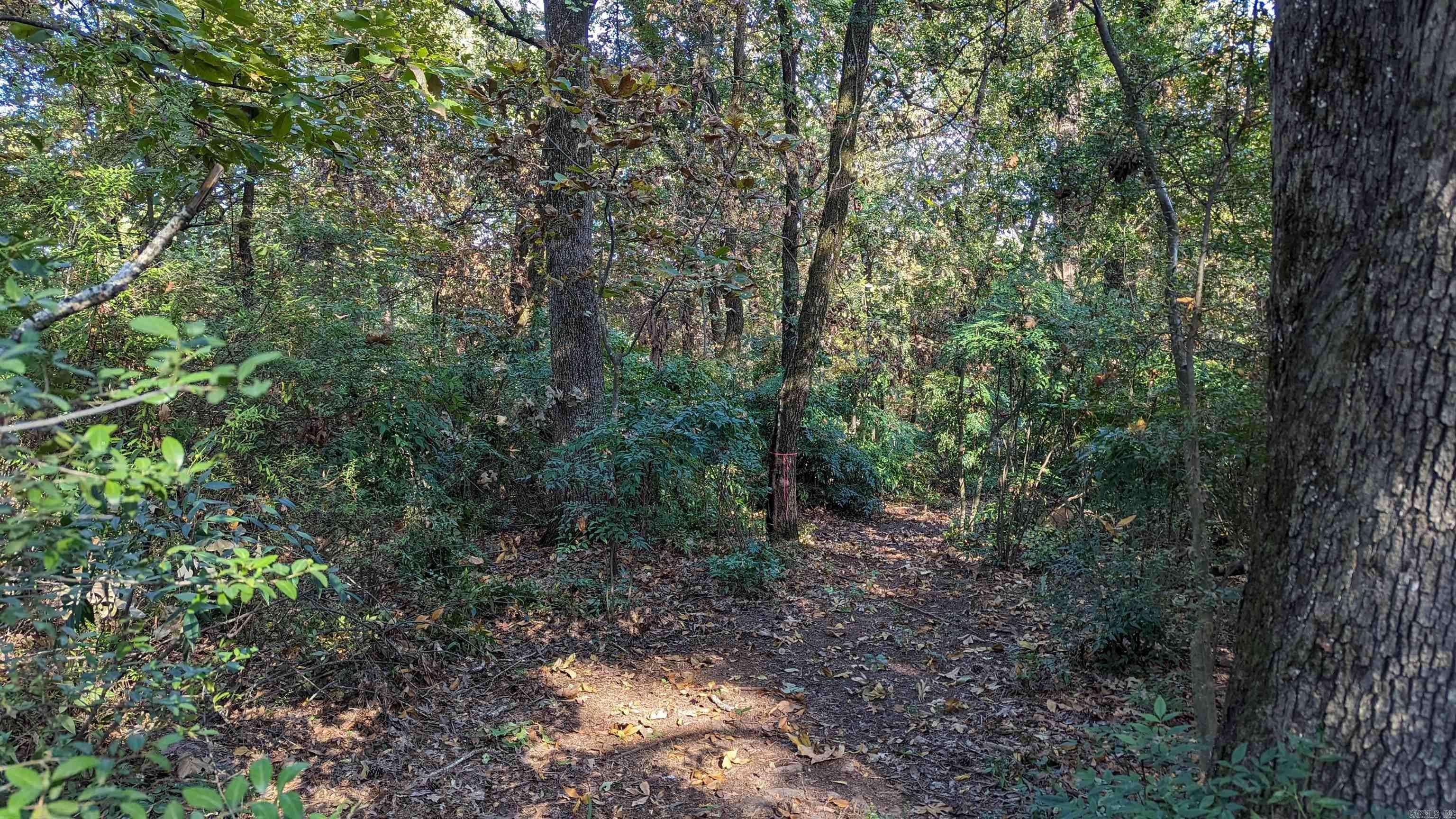 Other - 10307 Cantrell Road, Little Rock, AR
