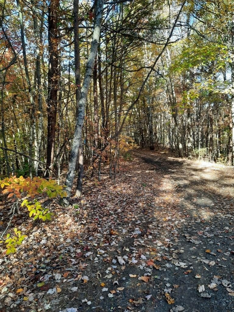 Other - Dog Leg Road, Whittier, NC