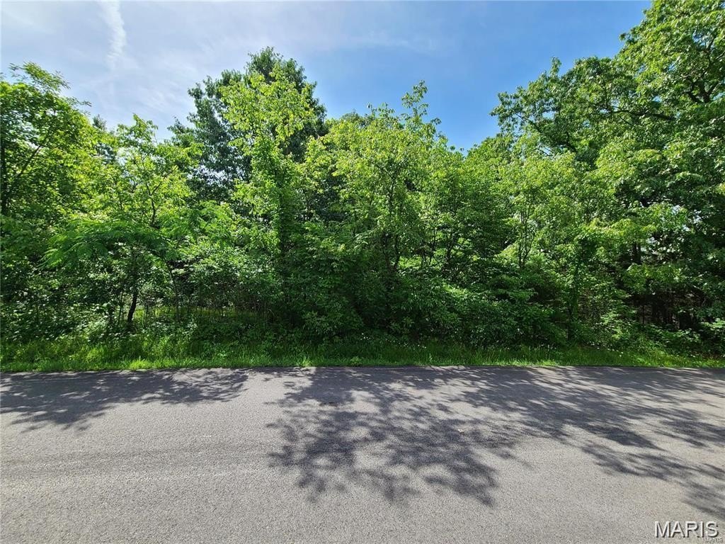 Other - 10312 Turkey Trail Drive, Hillsboro, MO