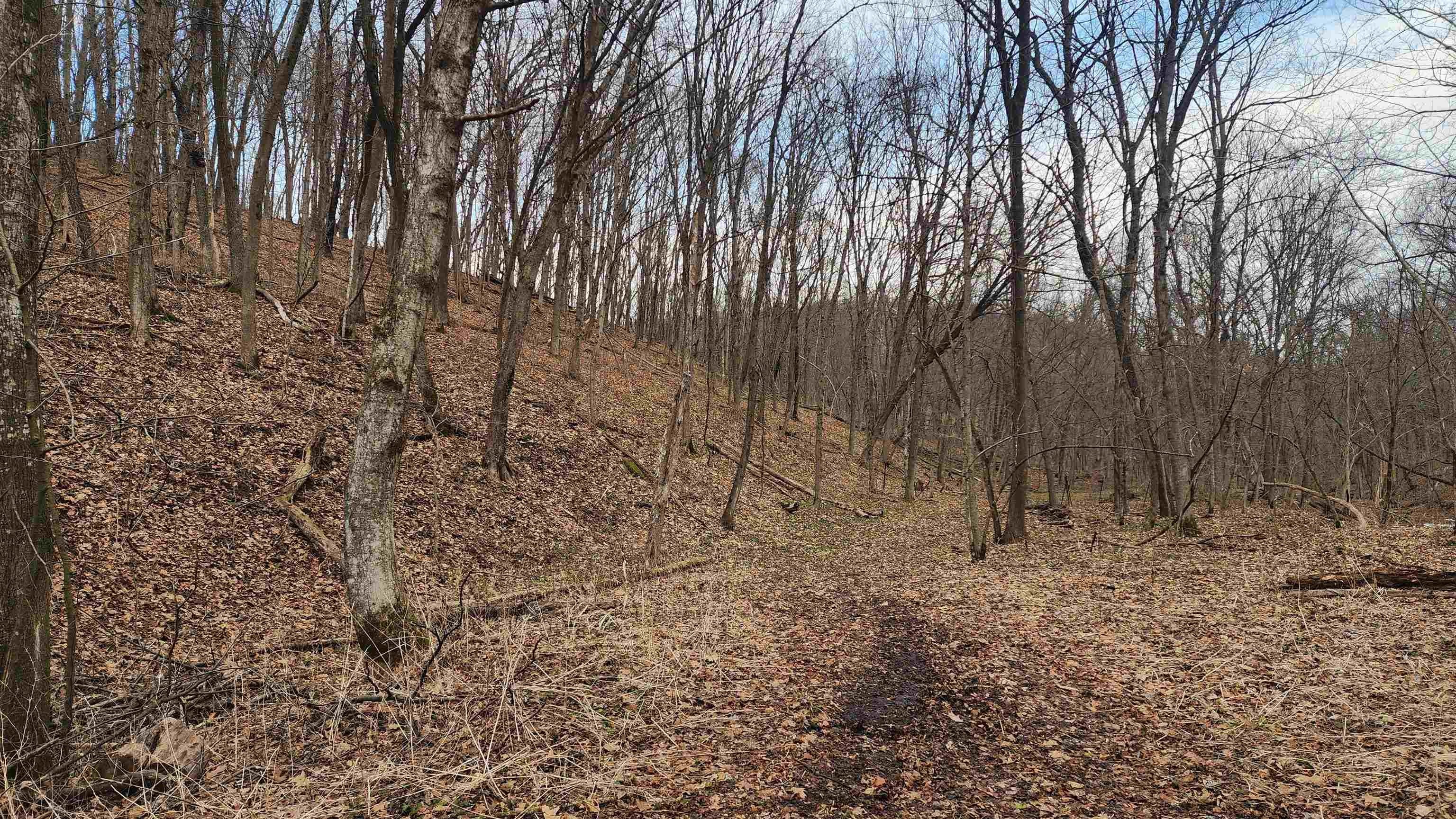 Other - Vineyard Road, Prairie Du Chien, WI