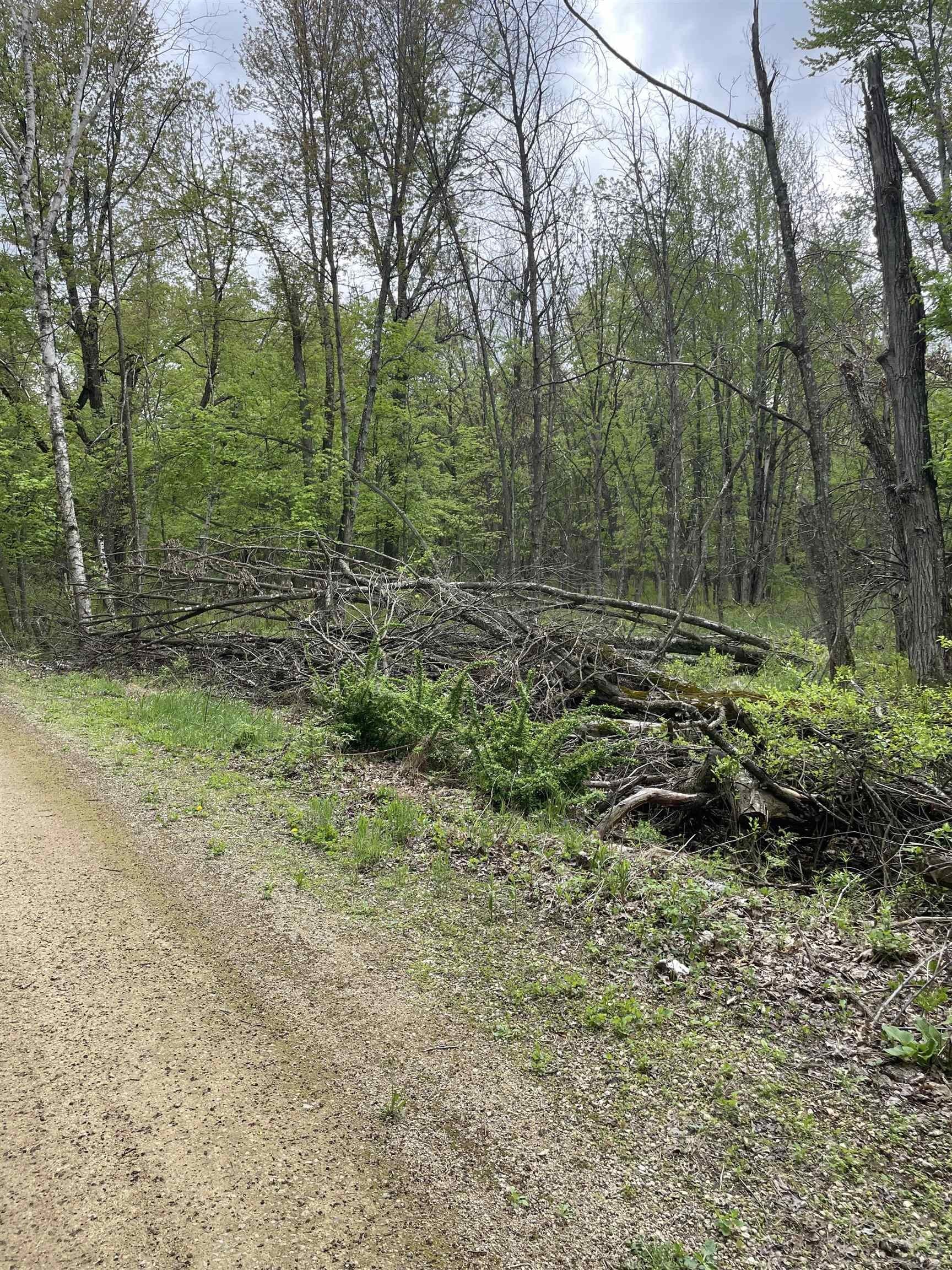 Other - 2.8 Ac Deer Run Road, Montello, WI