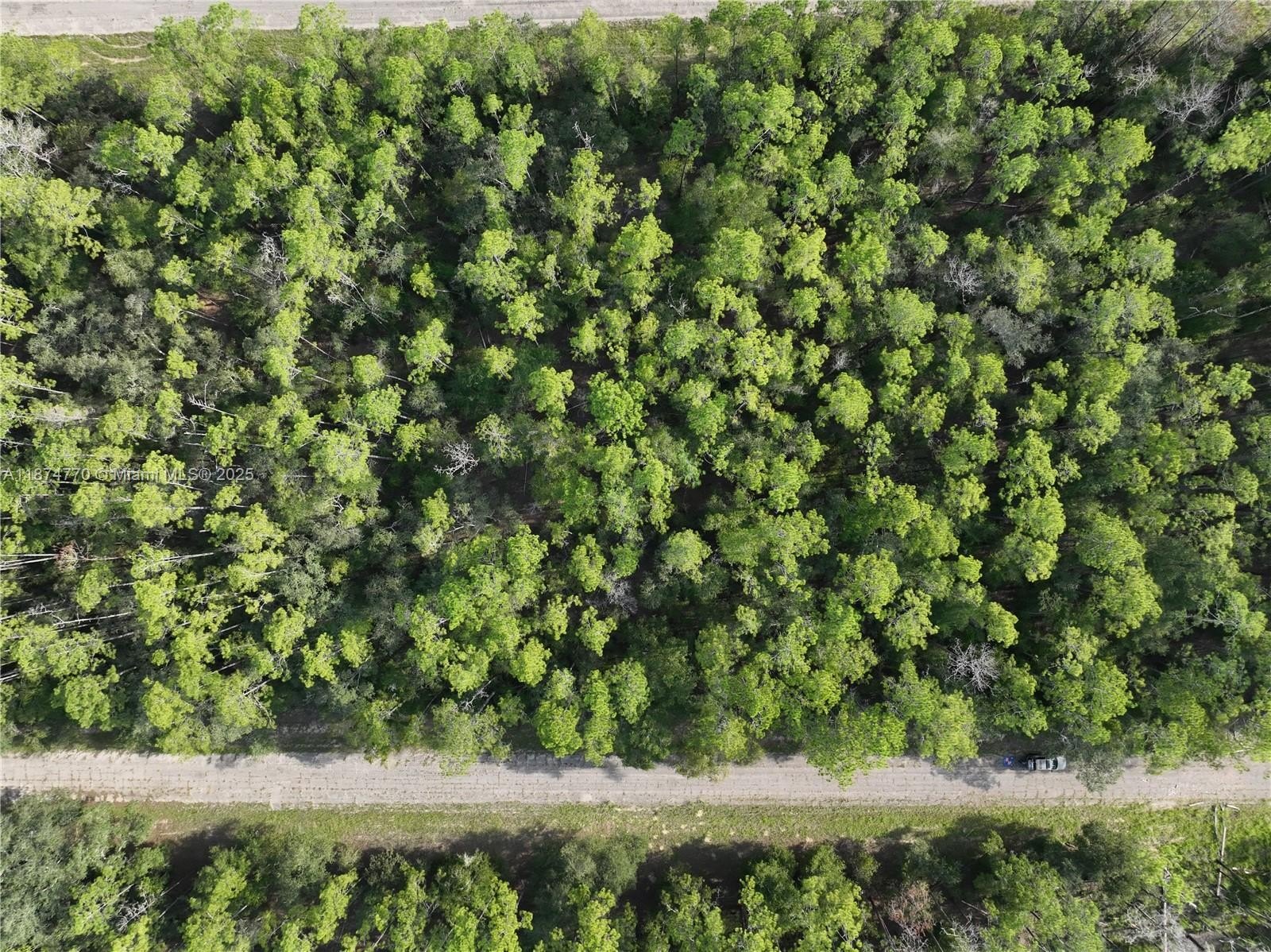 Other - 598 E MARQUETTE LN, Other City - In The State Of Florida, FL