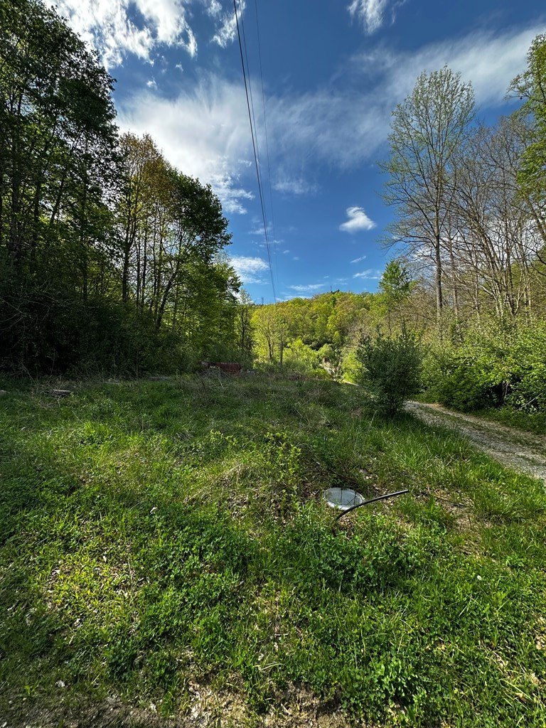 Other - 0 Left Fork Marshalls Branch, McRoberts, KY