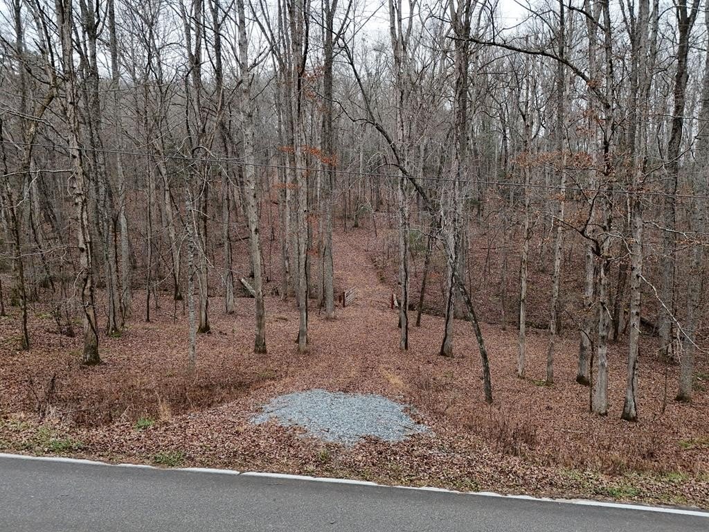 Other - Dills Road, Blue Ridge, GA
