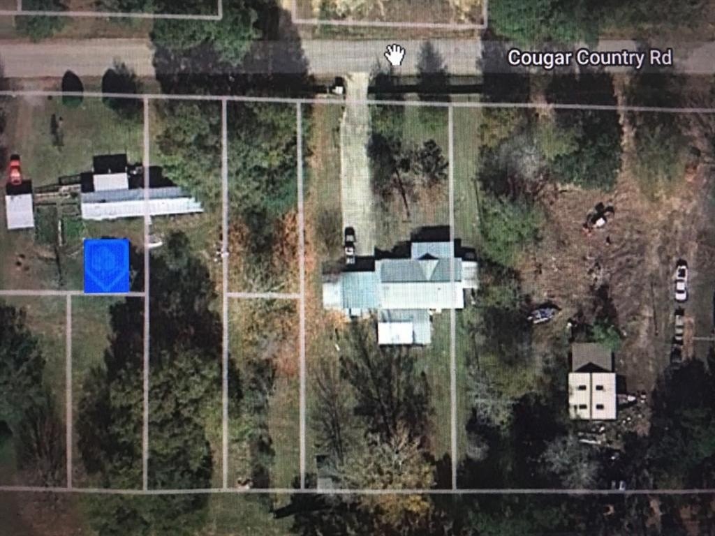 Plots and Land - 456 Cougar Drive, Buna, TX