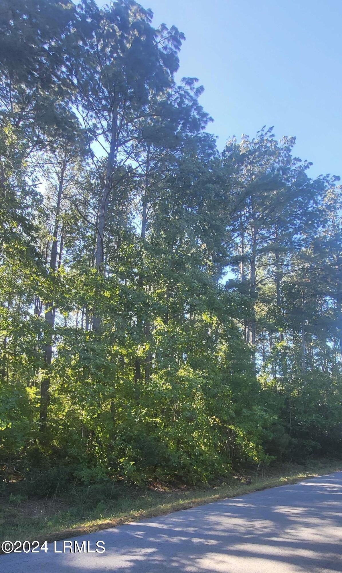 Other - 271 Founders Oak Way, Yemassee, SC