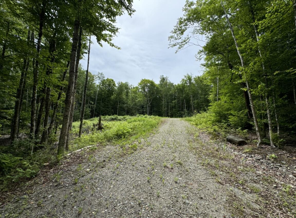 Other - Smith Cove Road lot: Wa-9, Cathance Twp, ME