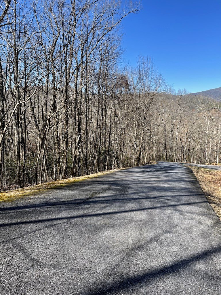 Other - Lot 34J Ash Branch Road, HAYESVILLE, NC