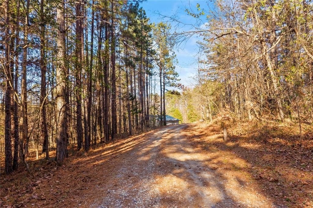 Single Family 3BR 2BA - 665 N Holcomb Drive, Martin, GA