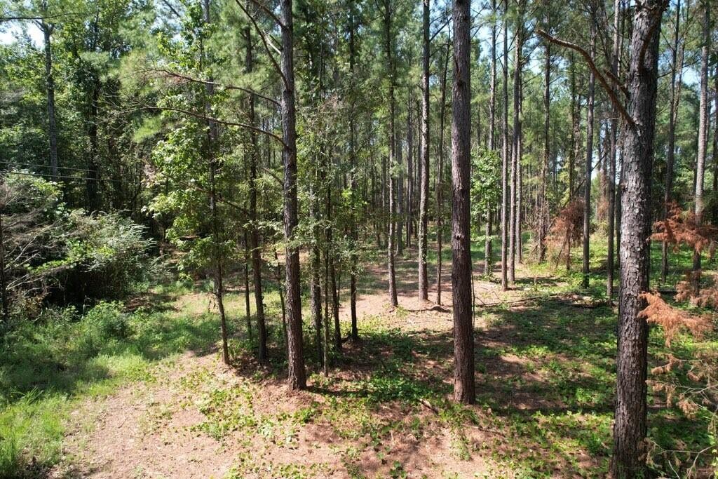 Single Family - State Hwy 355 Hwy., Etta, MS