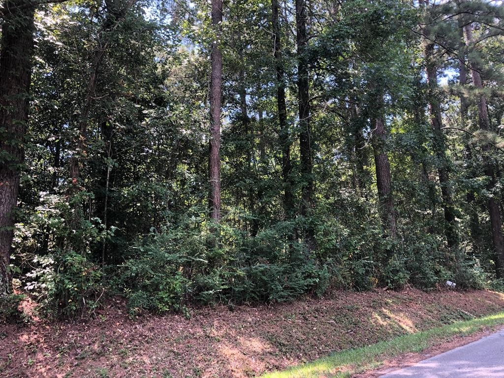 Other - 0 State St. Lot 45, Laurel, MS