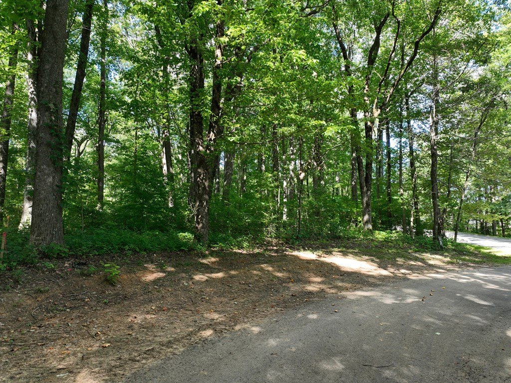 Other - 31 Highline Drive, Ellijay, GA