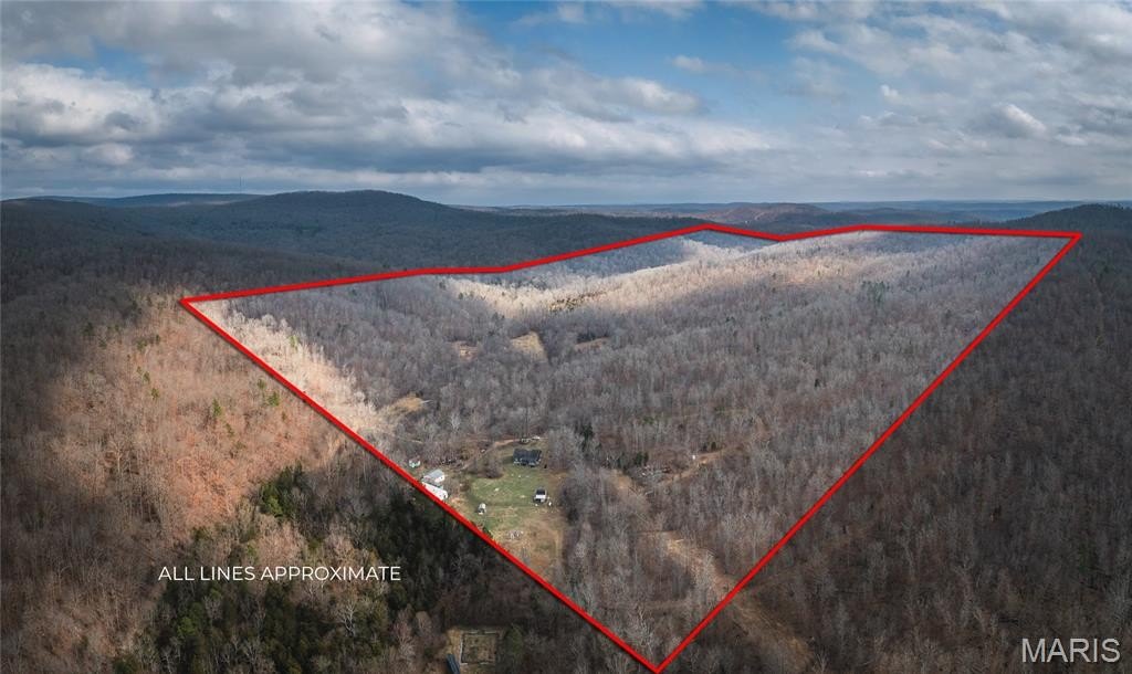 Plots and Land 3BR 2BA - 760 County Road 203, Annapolis, MO