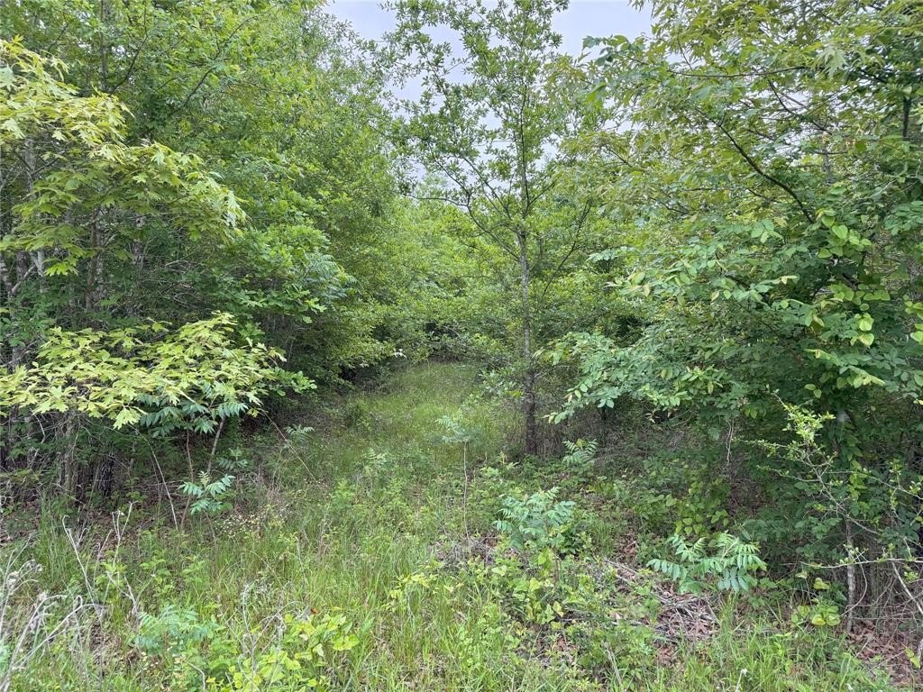 Other - Rains County Road 2610 lot: 25, Alba, TX