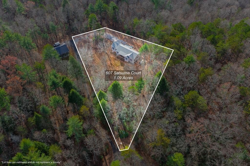 Single Family 3BR 2BA - 607 Satsuma Court S, Ellijay, GA