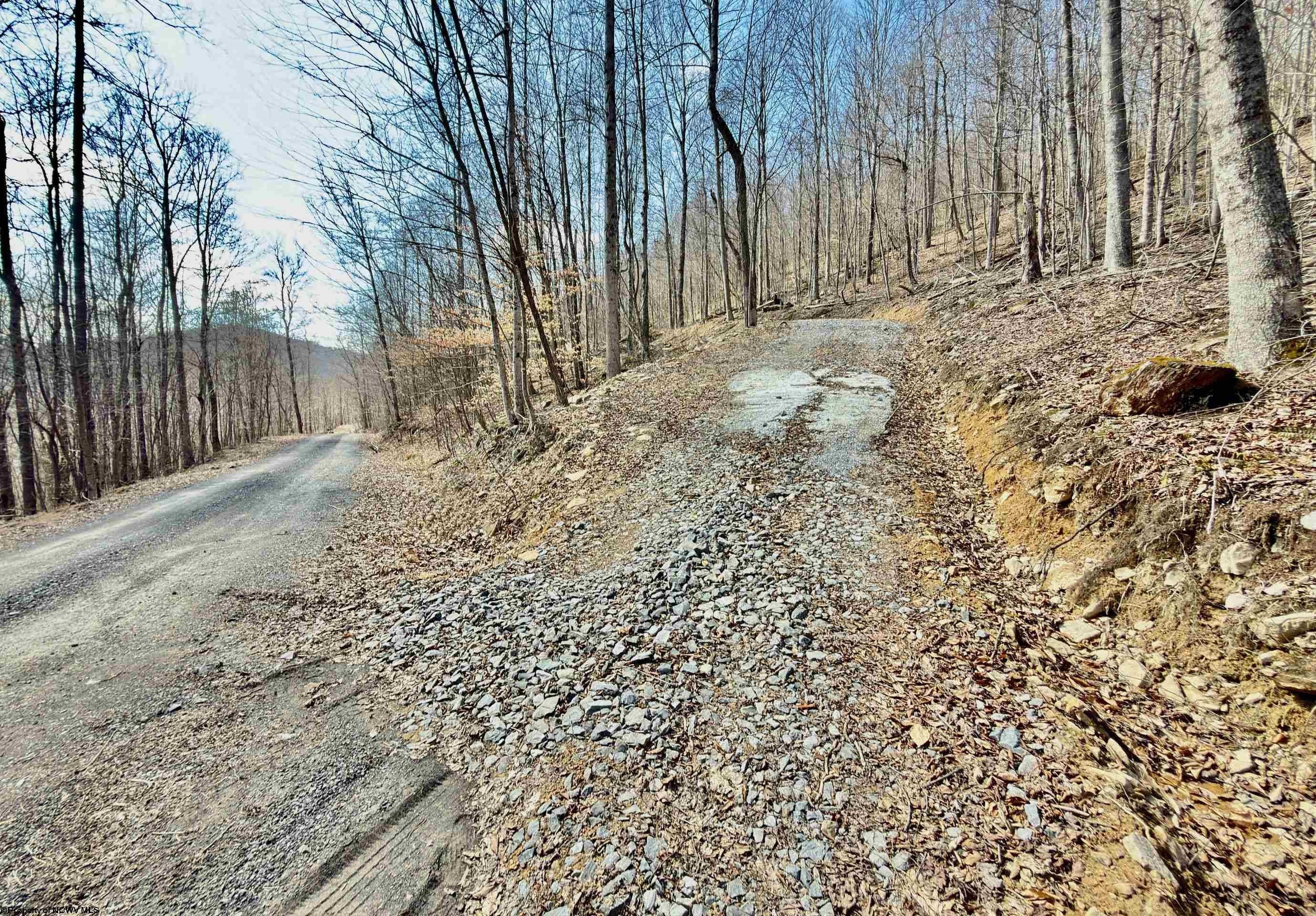 Other - Lot 10 Brooklyn Way, Moatsville, WV