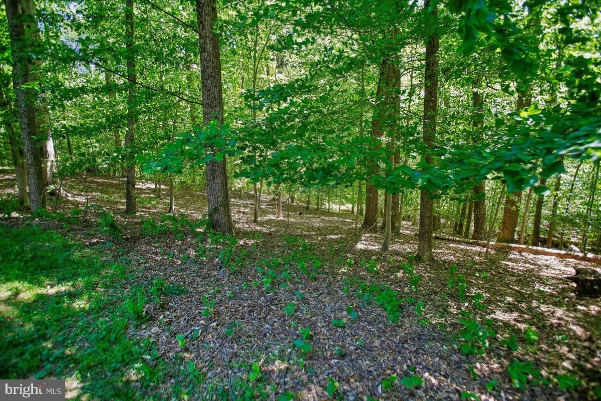 Single Family 5BR 7BA - 9455 NEWBRIDGE DR, POTOMAC, MD
