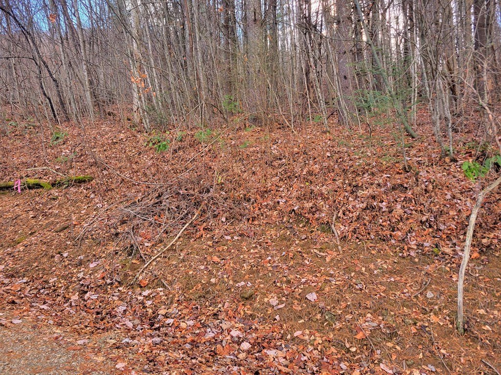 Other - 125 Lasso Ln lot: 304, Waynesville, NC