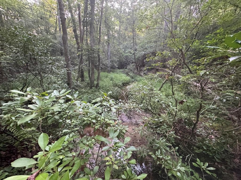 Single Family - Lot 184 Wild Horse Trl, Lancaster, VA