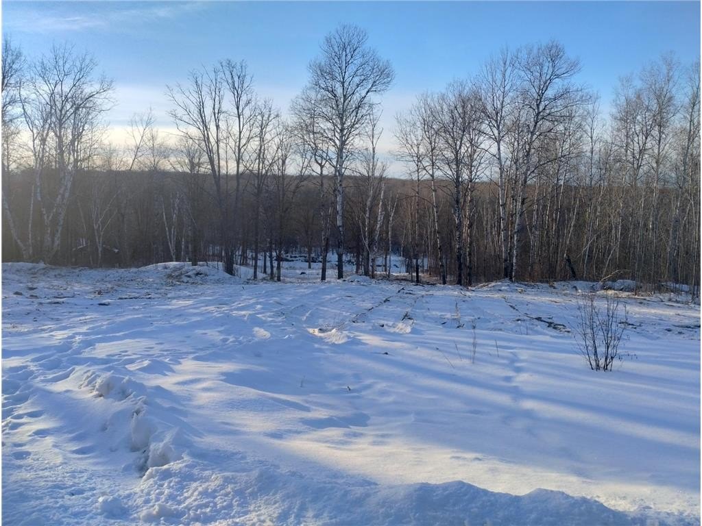 Other - 13649 188th Place, Williams Twp, MN