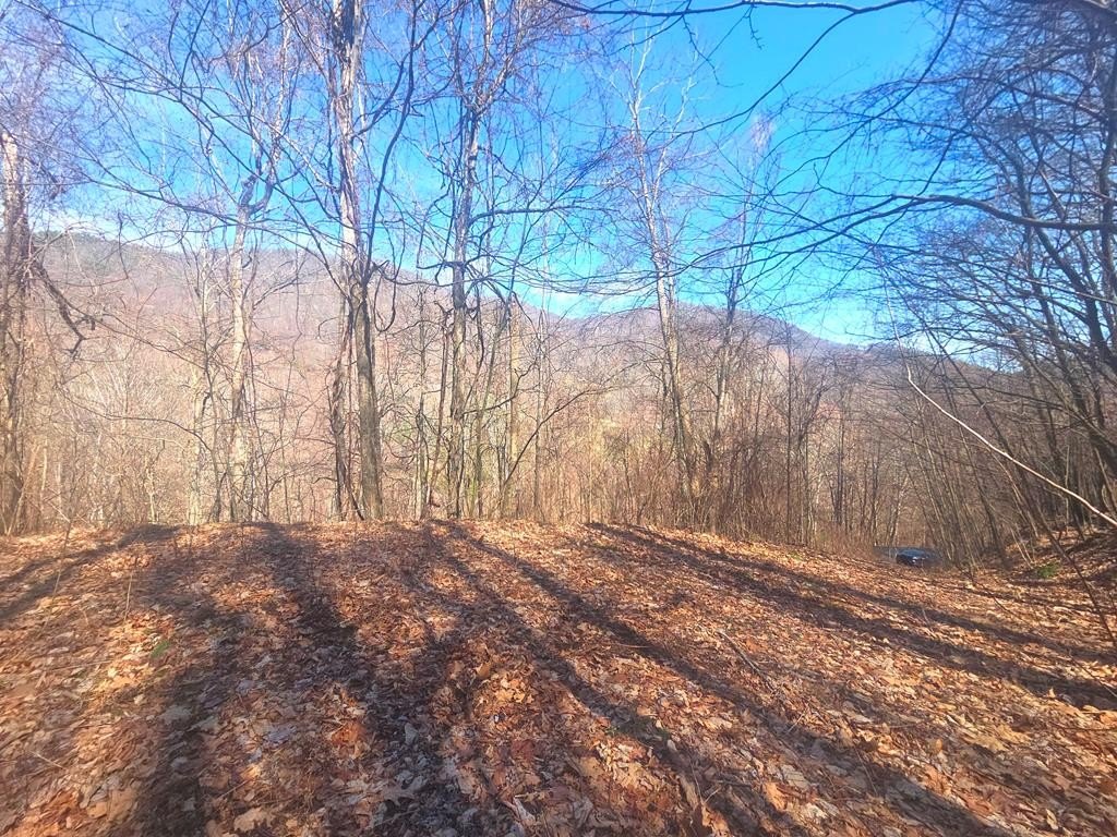 Other - 1200 Chestnut Flats Rd lot: 138, Waynesville, NC