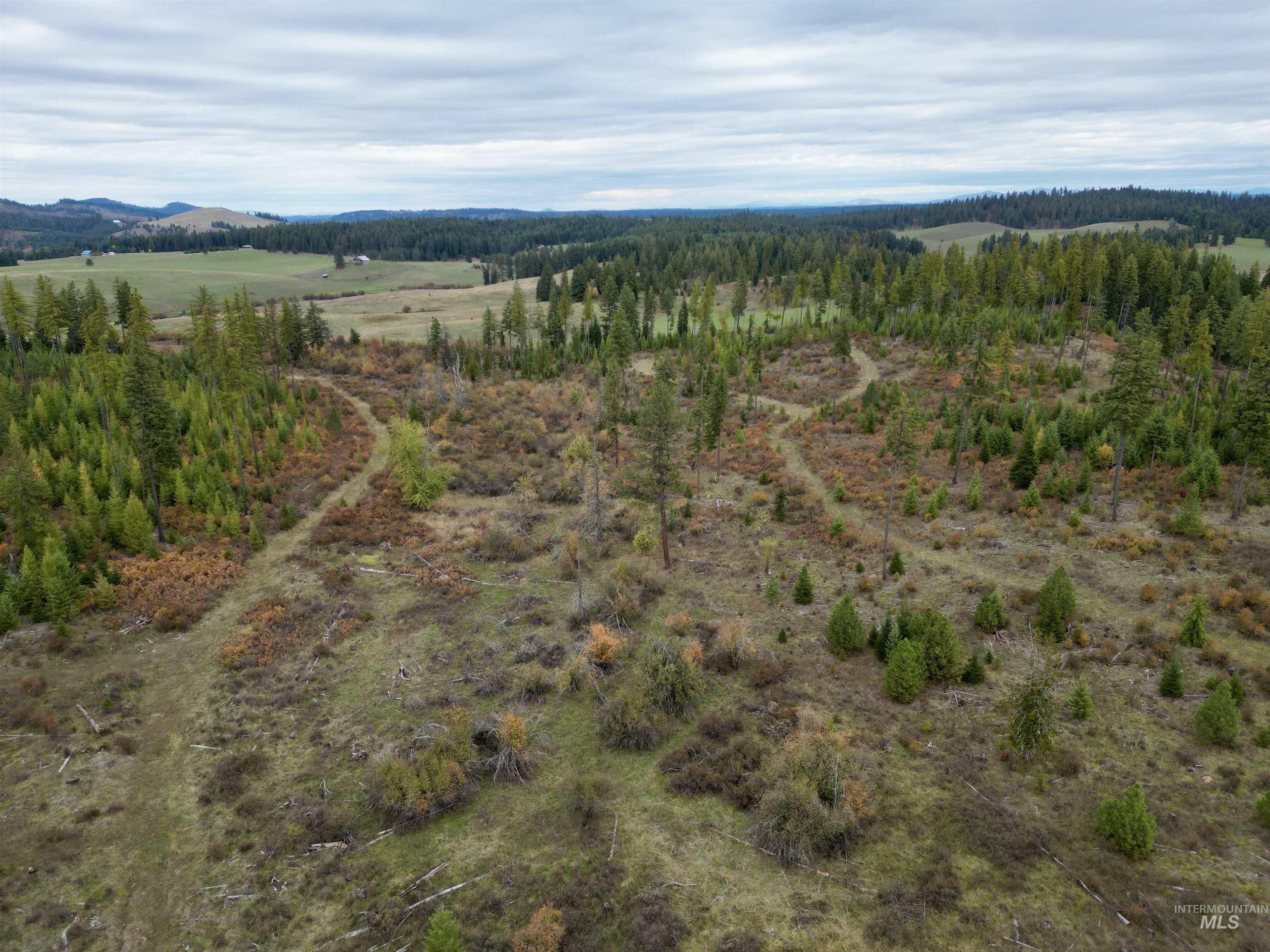 Other - Parcel 3 Peaceful Valley Rd., Kamiah, ID