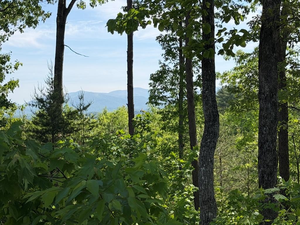 Other - Lot 31 Summit View Lane, Ellijay, GA