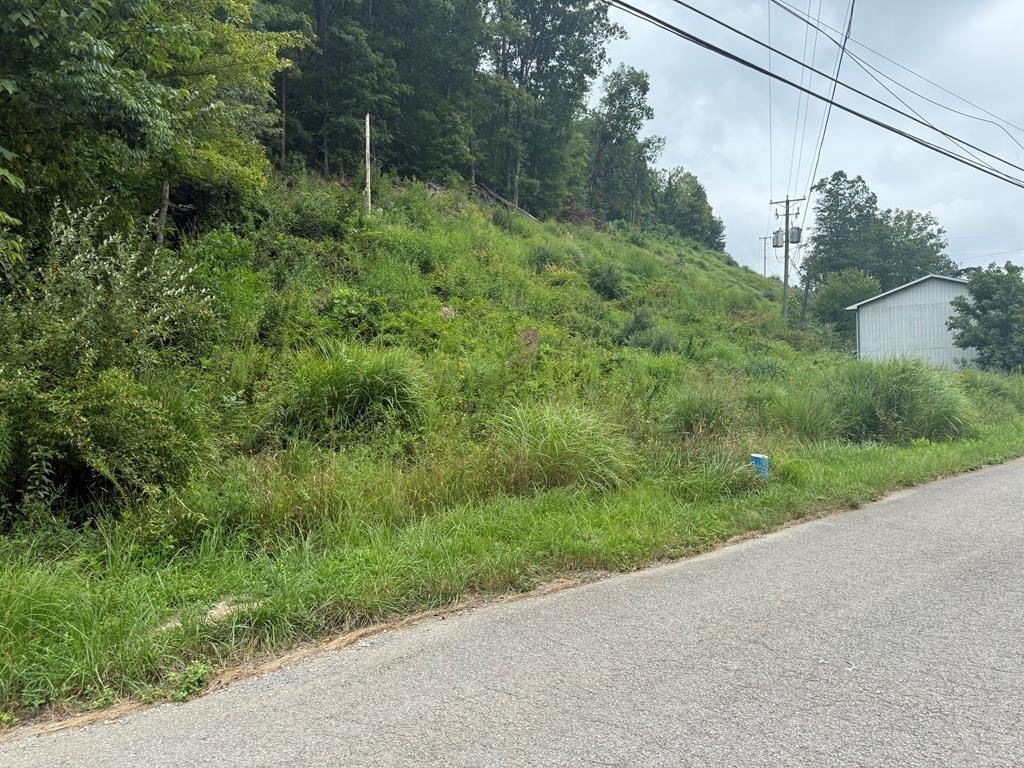 Other - 00 Kennedy Drive, Chavies, KY