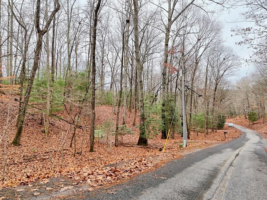 Other - Tract 3 Wilmar Circle, Blairsville, GA