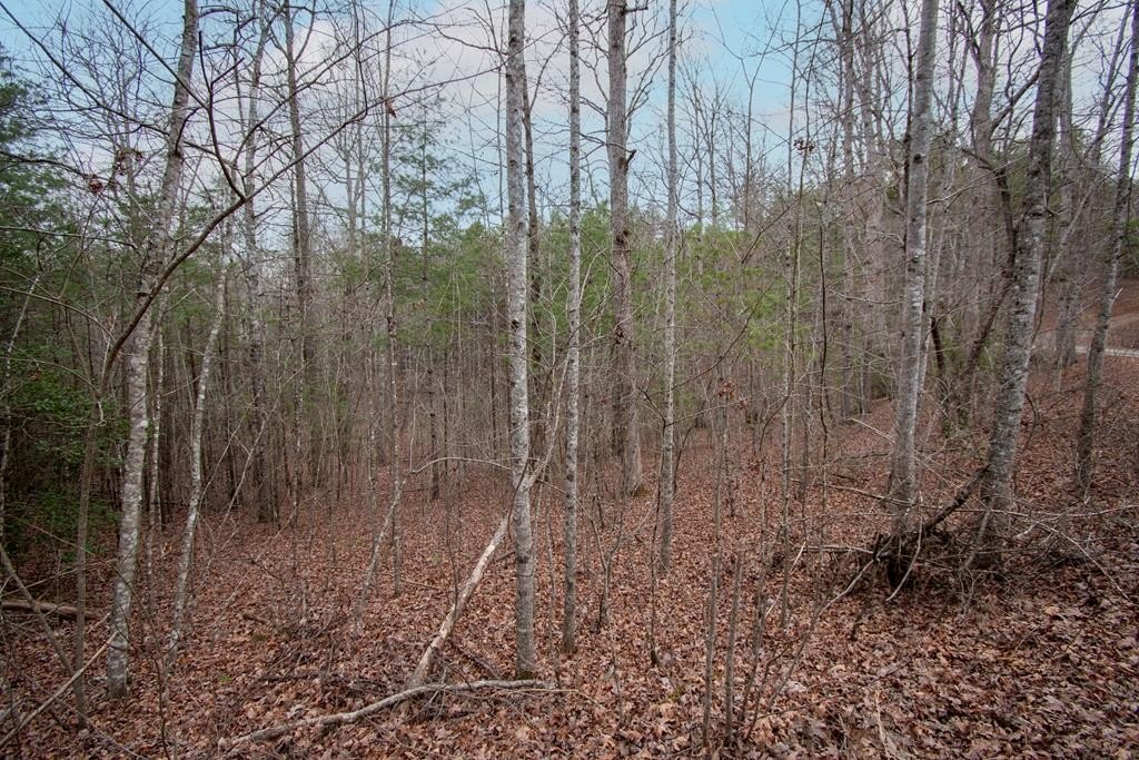 Other - Posey Place lot: 38, Murphy, NC