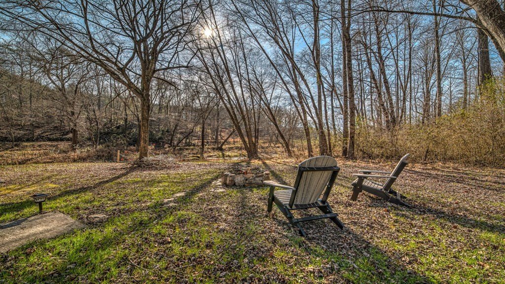Other 2BR 2BA - 141 Mountain Rivers Road, Mineral Bluff, GA