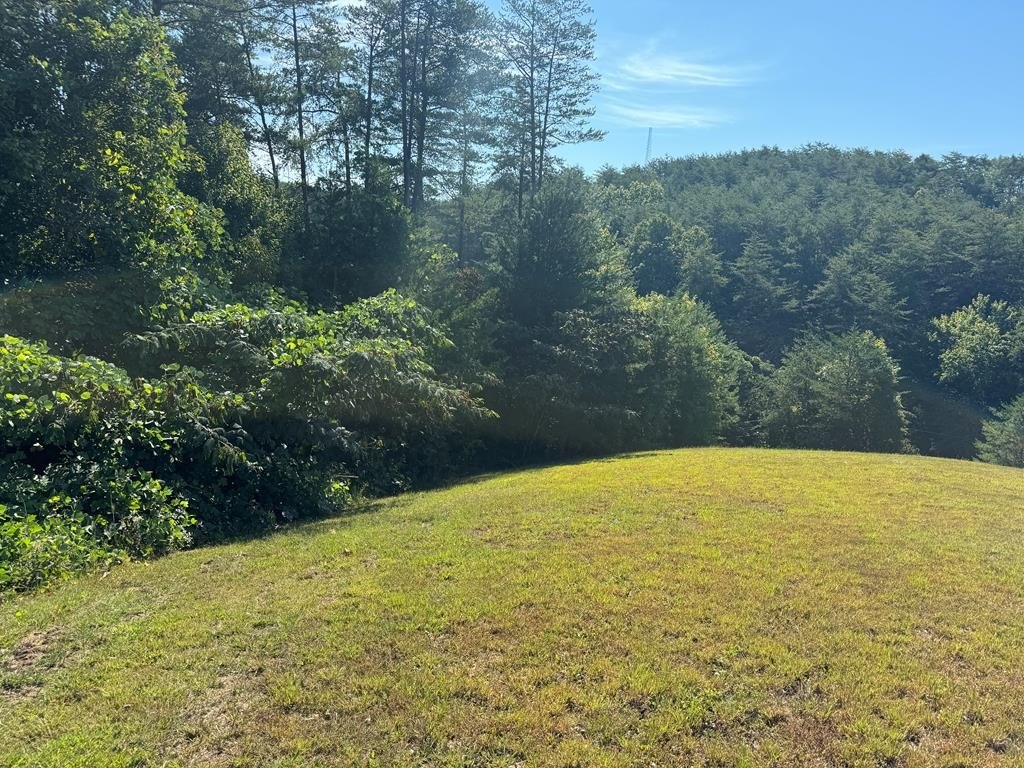 Other - 313 Golden Eagle Circle, Turtletown, TN
