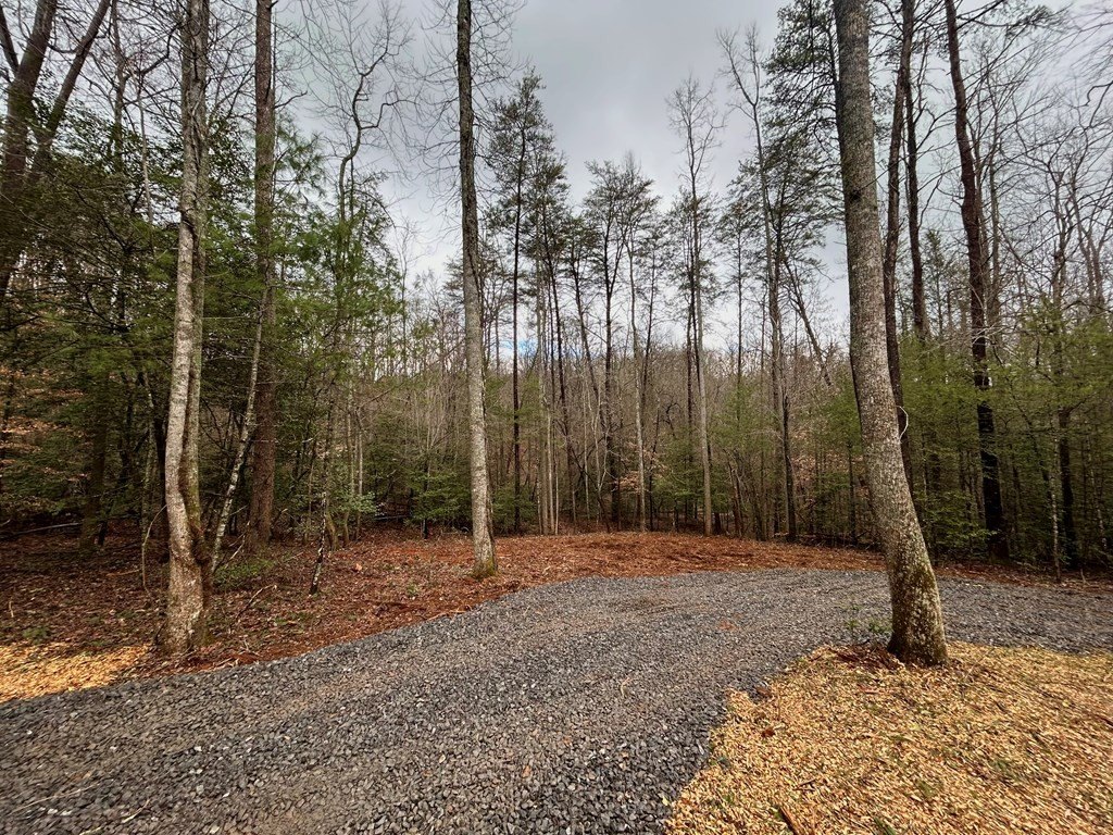 Plots and Land - 00 Grace Drive, Blue Ridge, GA