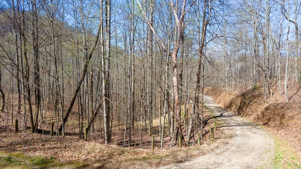 Other - Highlands Pass lot: 12, Franklin, NC