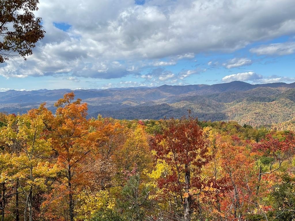 Other - 24 Cahill Dr, ANDREWS, NC