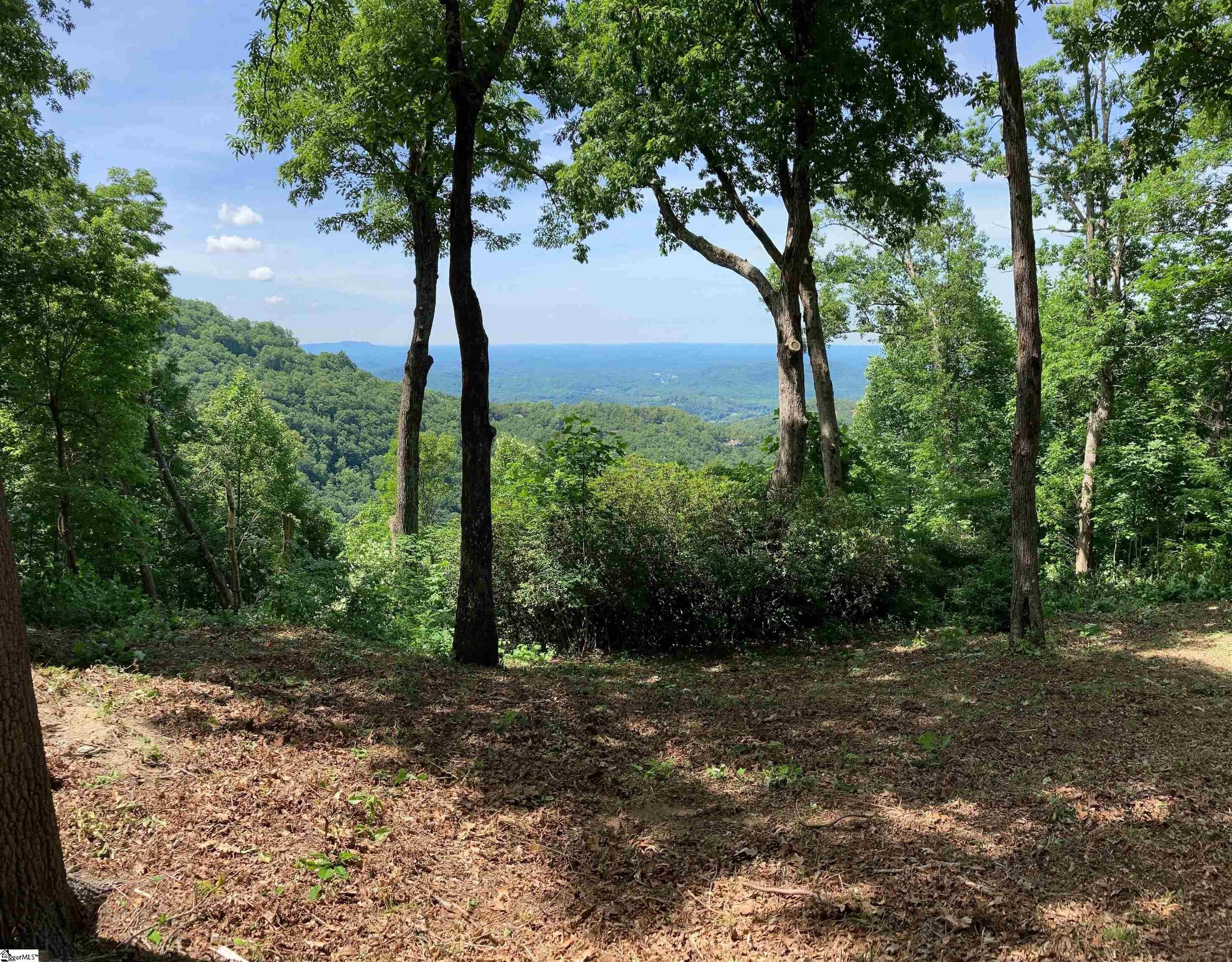 Other - 1399 Mountain Summit Road, Travelers Rest, SC