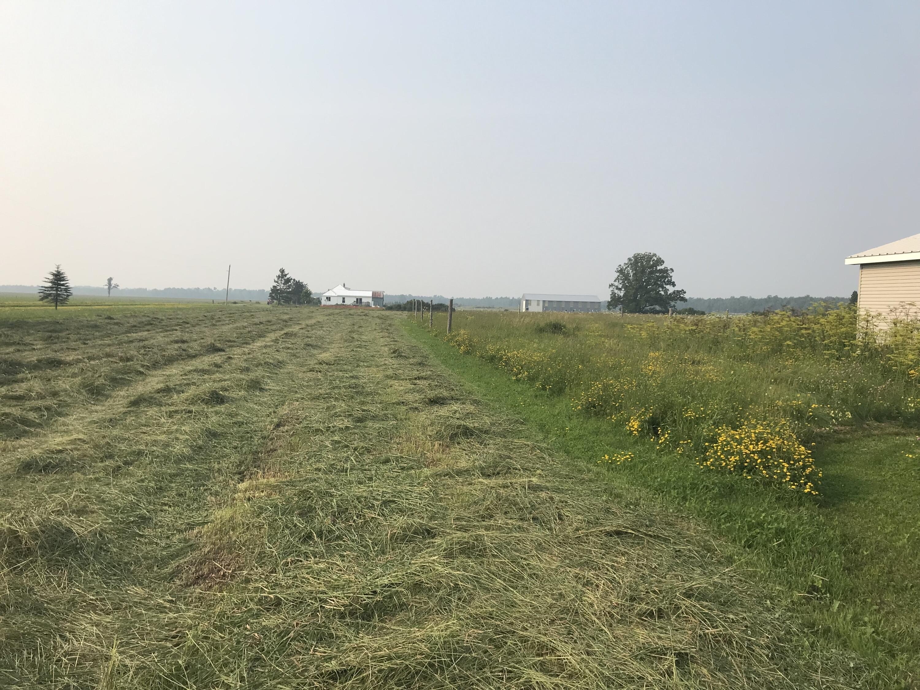 Plots and Land - 21955 S Steinbeck RD, Rudyard, MI