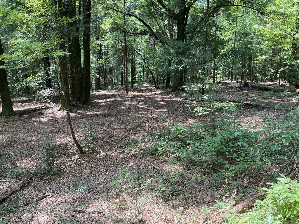 Other - 3613 Quail Tower Road, Luverne, AL