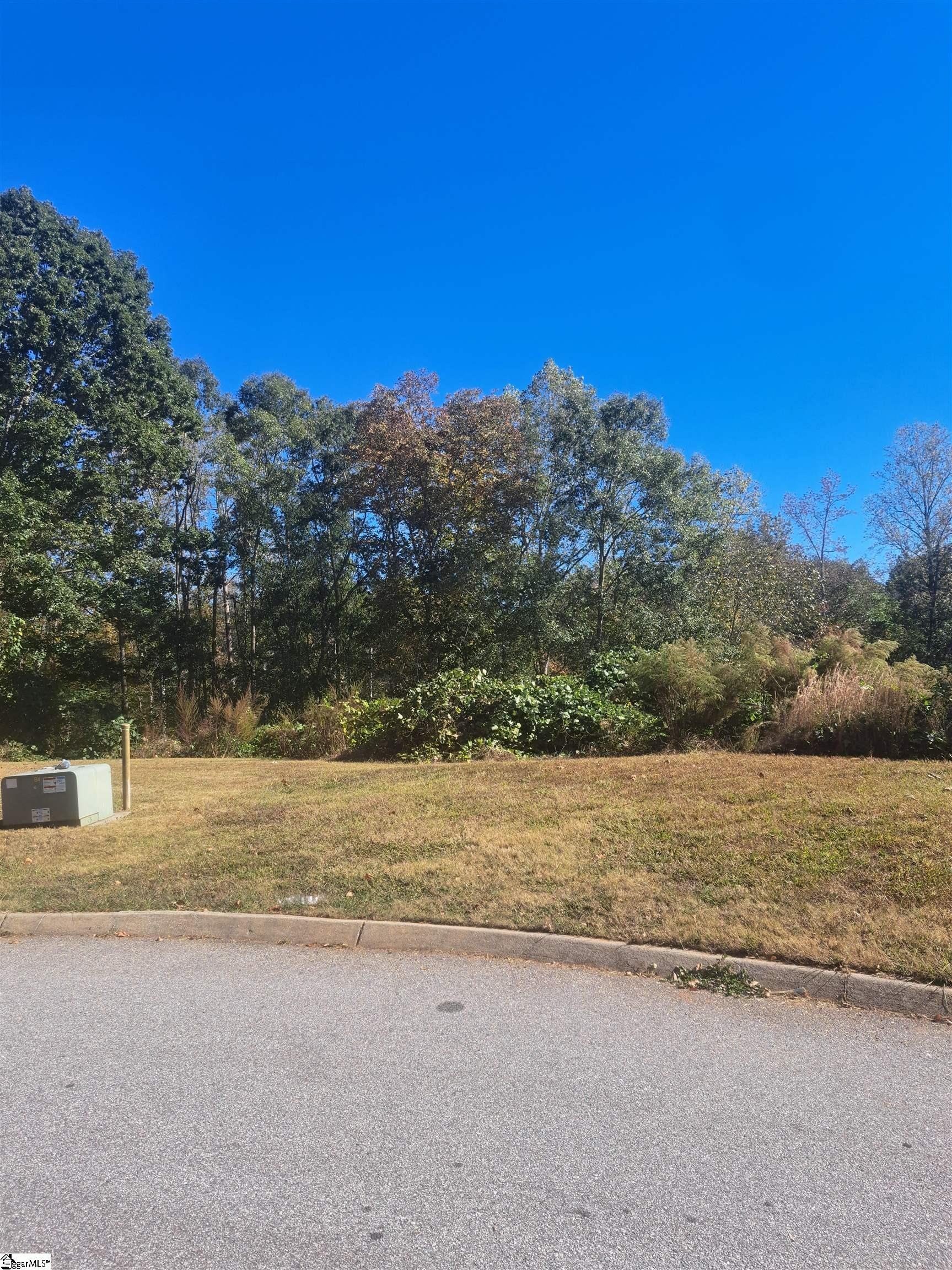 Other - 64 Juneau Court, Greenville, SC