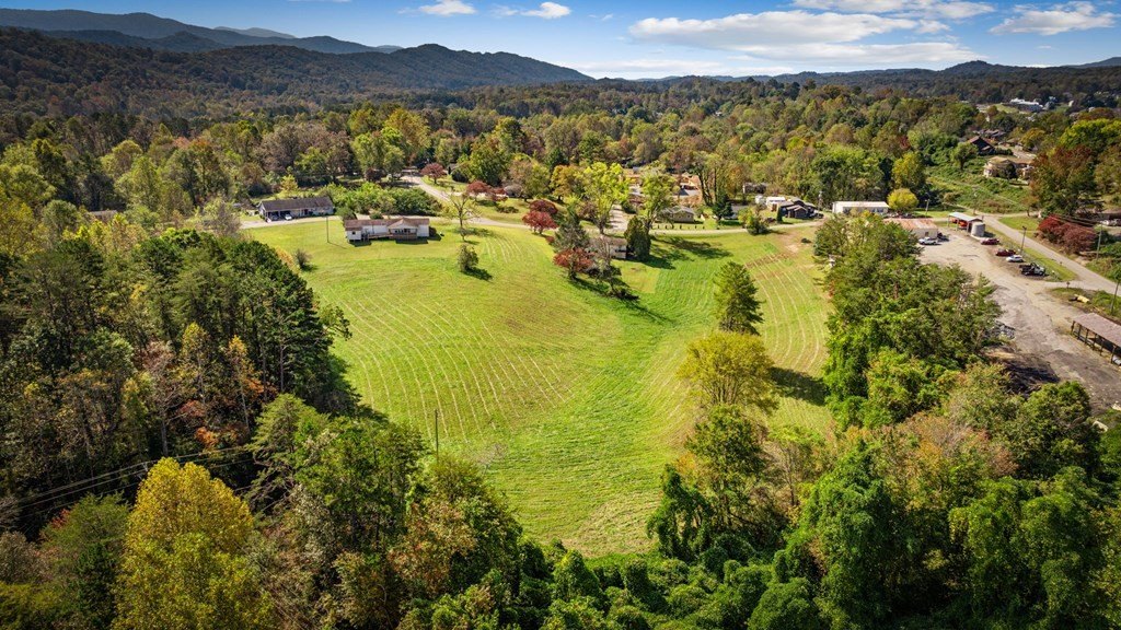 Single Family 3BR 1BA - 121 Orchard Boulevard, Blue Ridge, GA