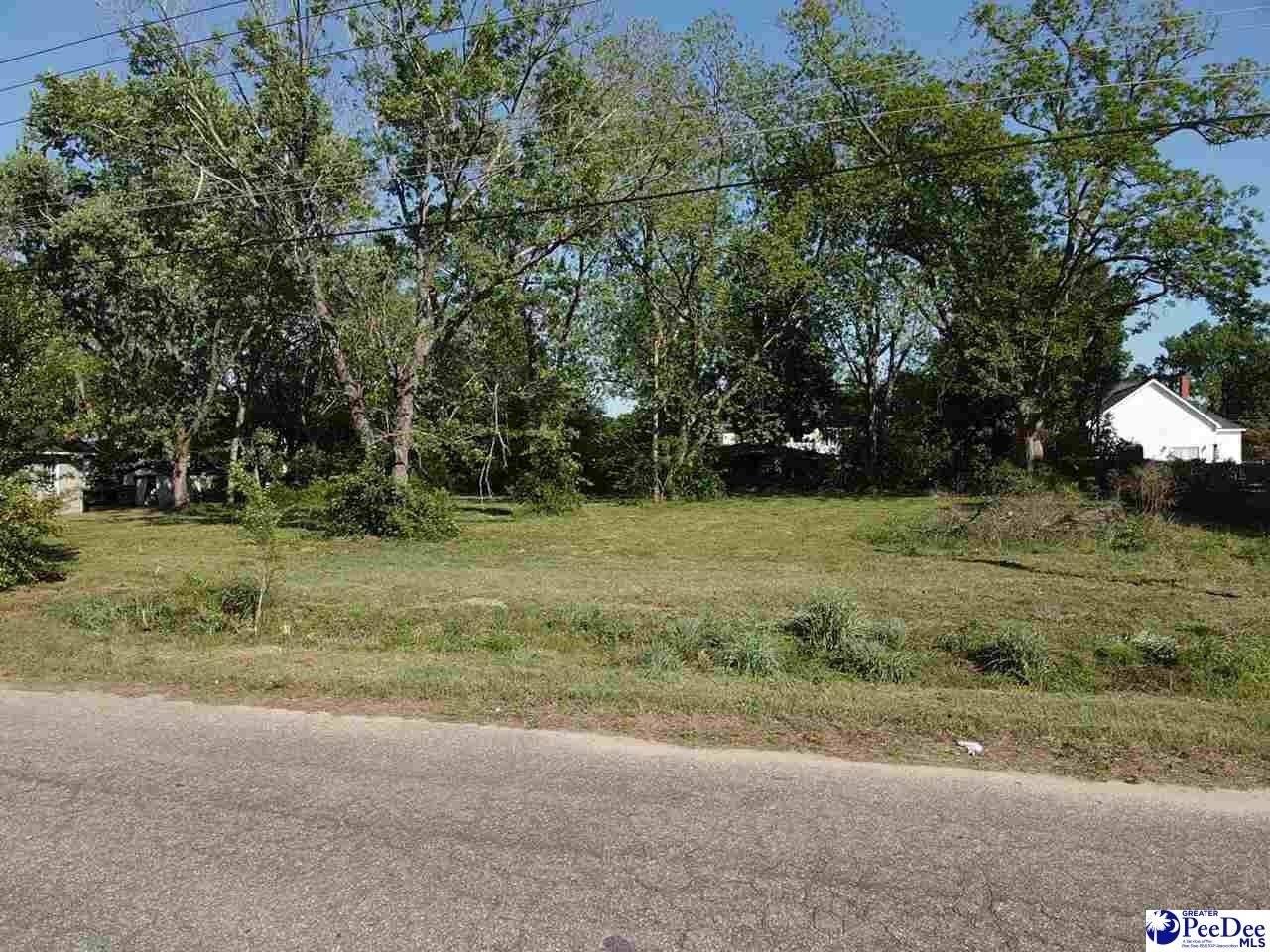 Single Family - 330 NE Railroad Avenue, Latta, SC