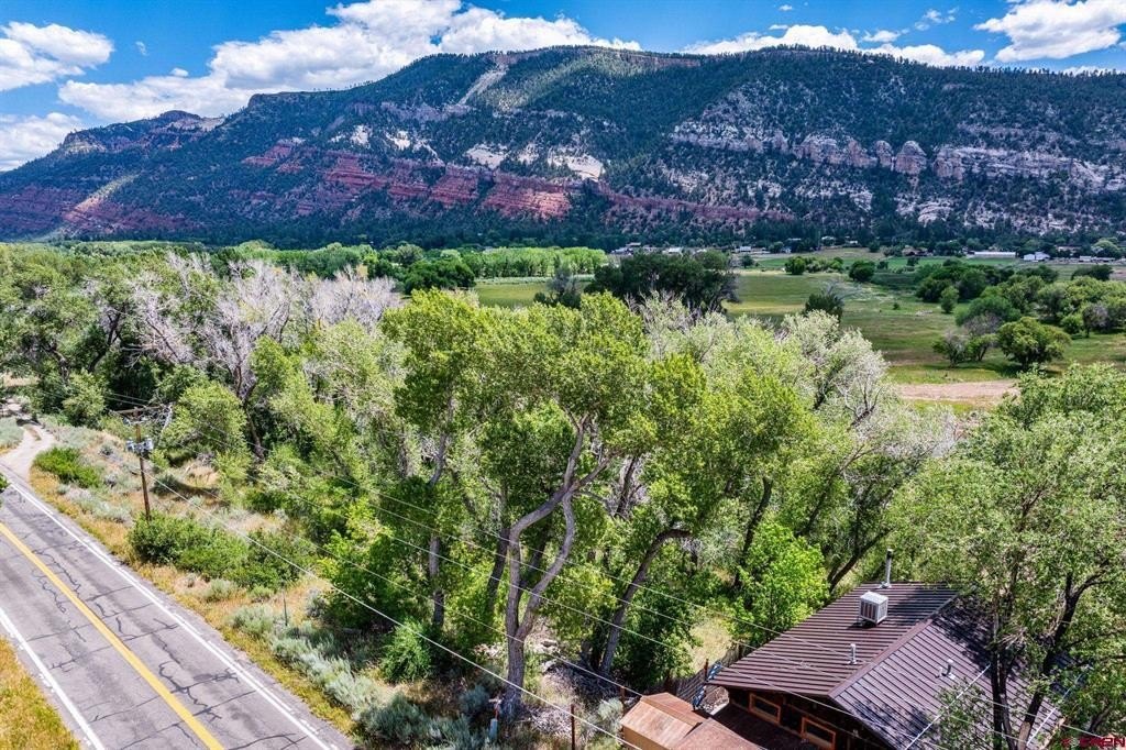 Single Family - 1110 Animas View Drive, Durango, CO